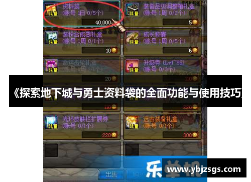 《探索地下城与勇士资料袋的全面功能与使用技巧》